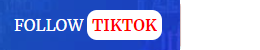 follow tiktok